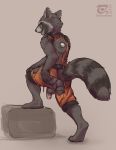  2019 anthro anus balls butt clothing guardians_of_the_galaxy hi_res humanoid_penis looking_back male mammal marvel penis procyonid raccoon rear_view rocket_raccoon solo thesecretcave torn_clothing 