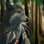  1:1 2012 black_nose canid canine canis day detailed_background digital_media_(artwork) forest fur grey_body grey_fur mammal outside tree wolf wolfroad 