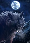  2012 absurd_res ambiguous_gender canid canine canis detailed_background digital_media_(artwork) feral hi_res mammal moon night open_mouth outside purple_eyes sky solo star starry_sky teeth tongue wolf wolfroad 