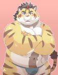  2019 anthro belly blush clothing felid garouzuki humanoid_hands male mammal moobs navel overweight overweight_male pantherine simple_background solo tiger underwear 