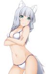  1girl animal_ear_fluff animal_ears arms_under_breasts ass_visible_through_thighs bangs bare_arms bare_shoulders bikini blunt_bangs blush braid breasts cleavage closed_mouth collarbone commentary_request contrapposto crossed_arms eyebrows_visible_through_hair green_eyes grey_hair groin hinata_masaki kemonomichi long_hair looking_at_viewer medium_breasts navel shigure_(kemonomichi) simple_background solo swimsuit tail white_background white_bikini 