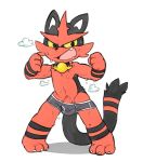  anthro barely_visible_genitalia barely_visible_penis bulge clothing hi_res male nintendo oob penis pok&eacute;mon pok&eacute;mon_(species) solo torracat underwear video_games 