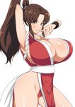  1girl arm_behind_head arm_up armpits bangs blush breasts brown_eyes brown_hair cleavage fatal_fury forehead high_ponytail highres huge_breasts jabara_tornado leotard long_hair looking_at_viewer parted_bangs parted_lips pelvic_curtain ponytail red_leotard rope sash shiny shiny_skin shiranui_mai sideboob sidelocks simple_background smile solo the_king_of_fighters thighs white_background wristband 