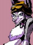  absurd_res armor aurora_bloom bell canid canine canis collar copymirror domestic_dog headgear helmet hi_res husky mammal nordic_sled_dog safety_glasses spitz 