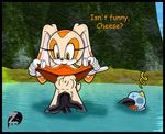  cheese_the_chao cream_the_rabbit eel sonic_team zetar02 