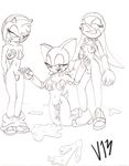  amy_rose rouge_the_bat sonic_riders sonic_team v13 wave_the_swallow 