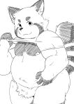  2019 ailurid anthro belly clothing hi_res humanoid_hands male mammal moobs nipples okoge_16 overweight overweight_male pubes red_panda shirt simple_background solo topwear white_background 