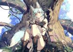  animal_ears aqua_hair breasts cat_smile cozy cropped elbow_gloves gloves kneehighs original short_hair sword tail tree weapon wolfgirl yellow_eyes 