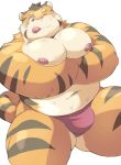  2019 anthro ayame42612 belly bulge clothing felid male mammal moobs navel nipples one_eye_closed overweight overweight_male pantherine simple_background solo tiger tongue tongue_out underwear white_background wink 