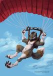  canid canine canis dampfloque digital_media_(artwork) feet happy male mammal parachute paraglider paws wolf 