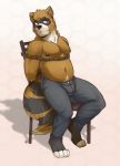  absurd_res bdsm belly bondage bound canid canine canis canis_lupus_familiaris chair chow_chow domestic_dog frederick_talbain furniture hi_res hybrid male mammal muscular pecs procyon_lotor procyonid procyonidae raccoon rope slightly_chubby solo spitz 