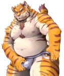  2019 anthro belly bulge clothing felid humanoid_hands jockstrap male mammal moobs navel nipples overweight overweight_male pantherine simple_background solo tiger toraya_inugami underwear white_background 