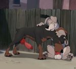  2019 against_fence against_wall animal_genitalia animal_penis arm_support balls big_balls black_body black_fur blush bodily_fluids buster_(lady_and_the_tramp) canid canine canine_penis canis cheek_bulge detailed_background digital_media_(artwork) disney dobermann domestic_dog duo erection eyes_closed feral feral_on_feral fur genital_fluids grey_body grey_fur hand_on_back hand_on_shoulder hi_res hybrid knot lady_and_the_tramp male male/male male_penetrated male_penetrating male_penetrating_male mammal mastiff mcfan molosser neck_grab open_mouth oral oral_penetration outside penetration penis pinscher precum precum_string rottweiler schnauzer sex sitting size_difference small_dom_big_sub smile spread_legs spreading standing teeth tongue tramp 