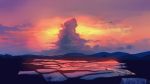  animal bird clouds landscape natsut original scenic sky sunset water 