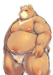  anthro asian_clothing belly blush brown_body brown_fur chiro_(artist) clothed clothing east_asian_clothing fundoshi fur japanese_clothing male mammal moobs navel nipples overweight overweight_male simple_background solo sun_bear thick_thighs topless underwear ursid ursine white_background 