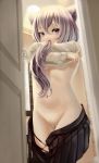  1girl animal_ears black_bullet blush breasts dkoro fuse_midori highres long_hair looking_at_viewer navel open_mouth purple_eyes pussy shirt_lift silver_hair small_breasts solo uncensored underboob undressing 