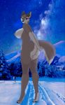  aged_up aleu anthro anthrofied balto_(film) big_breasts big_butt blue_eyes breasts butt canid canine canis cocaine-leopard female hi_res long_legs mammal mountain night nude outside pose rear_view side_boob snow solo star tree winter wolf 