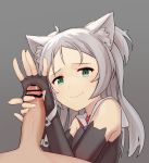  1boy 1girl animal_ear_fluff animal_ears azur_lane bar_censor black_gloves cat_ears censored closed_mouth commentary elbow_gloves fang fingerless_gloves fingernails forehead gloves green_eyes grey_background grey_hair handjob hetero long_hair looking_at_viewer neck_ribbon penis red_neckwear ribbon sailor_collar simple_background sims_(azur_lane) skin_fang smile smug two_side_up viroa white_sailor_collar 