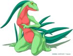  grovyle haison pokemon tagme 