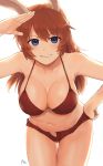  1girl absurdres animal_ears azu_(yamahasu1245) bent_over bikini bikini_shorts blue_eyes blush breasts brown_hair bunny_ears charlotte_e_yeager collarbone eyebrows_visible_through_hair hand_on_hip highres large_breasts long_hair looking_at_viewer navel open_clothes open_shorts parted_lips red_bikini red_shorts shiny shiny_hair shiny_skin shorts simple_background smile solo strike_witches swimsuit swimwear teeth white_background world_witches_series 