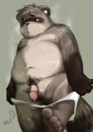  2014 anthro balls belly blush bodily_fluids canid canine clothing cum genital_fluids humanoid_hands korokke1984 korokke_tw male mammal moobs nipples overweight overweight_male penis raccoon_dog solo tanuki underwear young 