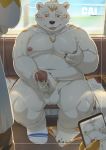  2019 absurd_res anthro balls belly big_dick_day blush cai1448331577 detailed_background fur hi_res male mammal masturbation moobs navel nipples overweight overweight_male penis phone sitting tongue tongue_out ursid white_body white_fur 