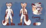  16:10 2017 blue_eyes canid canine fox male mammal marble_fox model_sheet navel red_fox secretkitsune solo temmy_(secretkitsune) 