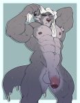  2017 5_fingers abs absurd_res anthro armpit_hair balls biceps big_balls big_muscles big_penis black_nipples black_nose blue_eyes bodily_fluids body_hair canid canine canis conal_(character) fingers flaccid foreskin fur grey_body grey_fur grey_hair hair hi_res huge_muscles humanoid_penis looking_at_viewer male mammal multicolored_body multicolored_fur muscular muscular_male nightterror nipples nude pecs penis simple_background standing sweat towel two_tone_body two_tone_fur vein veiny_penis wet wolf 