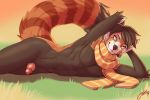  2019 ailurid anthro black_body black_hair black_nose black_skin feralise fur girly grass hair humanoid_penis lying male mammal markings multicolored_body multicolored_skin nude on_side orange_body orange_eyes orange_fur orange_skin penis pink_penis red_panda scarf smile solo striped_tail stripes two_tone_body two_tone_skin 