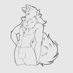  1:1 abs alaskan_malamute anthro balls_outline bulge canid canine canis clothed clothing domestic_dog finn_(kissmonster) fluffy fur hi_res male mammal muscular muscular_male nordic_sled_dog sheath_outline solo spitz topless zigzagmag 