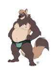  2019 anthro belly brown_body brown_fur bulge canid canine clothing fur furrybob hi_res male mammal moobs navel nipples overweight overweight_male raccoon_dog solo tanuki underwear white_body white_fur 