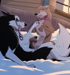  absurd_res aleu balto_(film) bodily_fluids canid canine canis clenched_teeth collar cowgirl_position cum cum_in_pussy cum_inside domestic_dog domination duo eyes_closed female feral feral_on_feral genital_fluids grin hi_res husky larger_male leash leash_in_mouth lying male male/female male_domination mammal nordic_sled_dog object_in_mouth on_back on_top outside penetration sex size_difference smaller_female smile snow spitz steele_(balto) teeth torinsangel vaginal vaginal_penetration winter 