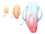  balls berseepon09 big_balls big_penis chart digital_media_(artwork) erection huge_balls huge_penis humanoid_penis male not_furry penis penis_focus penis_size_difference shota_deer simple_background small_penis text vein veiny_penis 