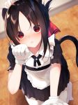  1girl alternate_costume animal_ears apron bangs black_dress blurry blurry_background blush brown_hair cat_ears cat_girl cat_tail closed_mouth commentary_request depth_of_field dress enmaided eyebrows_visible_through_hair folded_ponytail gloves hair_ribbon hand_up highres indoors kaguya-sama_wa_kokurasetai_~tensai-tachi_no_renai_zunousen~ kneeling looking_at_viewer maid maid_apron maid_headdress no_shoes pantyhose parted_bangs paw_gloves paws red_eyes red_ribbon ribbon shinomiya_kaguya solo suisen-21 tail wavy_mouth white_apron white_gloves white_legwear wooden_floor 