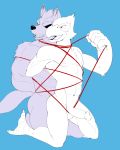  abs absurd_res avian bdsm bird bondage bound canid canine canis duo erection falco_lombardi hi_res jrjresq male male/male mammal muscular nintendo nude pecs penis smile star_fox video_games wolf wolf_o&#039;donnell 