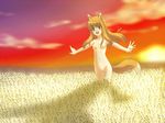  animal_ears bad_id bad_pixiv_id brown_hair field holo long_hair nude outstretched_arms red_eyes s-no solo spice_and_wolf spread_arms sunset tail wheat wolf_ears 