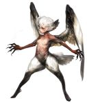  1girl akcho breasts claws feathered_wings feathers harpy head_feathers highres monster_girl original simple_background small_breasts tail_feathers white_feathers wings 