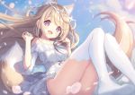  animal_ears dress long_hair p19 tail thighhighs 