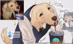  2019 beastars bepis bird_dog blush canid canine canis clothing domestic_dog dr_whiger drinking fur gesture happy hi_res hunting_dog jack_(beastars) labrador legosi_(beastars) looking_at_viewer mammal meme necktie ok_sign parody pepsi real retriever shirt simple_background smile tongue topwear vest white_background wolf yellow_body yellow_fur 