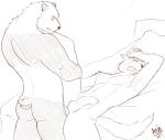  abs age_difference anal anal_penetration arvie beastars bed bed_sheet bedding canid canine canis erection furniture giant_panda gouhin legosi_(beastars) lying male male/male mammal nude on_back pecs penetration penis scar sex table_lotus_position teenager ursid wolf young 