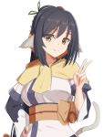  1girl animal_ears bangs black_hair breasts brown_eyes commentary_request elfenlied22 hair_ornament highres kuon_(utawareru_mono) long_hair looking_at_viewer medium_breasts obi ponytail sash simple_background smile solo tail utawareru_mono utawareru_mono:_itsuwari_no_kamen v very_long_hair white_background 