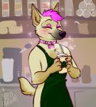  apron barrista canid canine canis clothing coffeshop collar domestic_dog female hair herding_dog mammal mosstheopossum pastoral_dog pink_hair schipperke sheepdog solo willow 