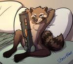  2019 anthro balls bed digital_media_(artwork) erection explosives fur furniture grenade guardians_of_the_galaxy gun looking_at_viewer male mammal marvel multicolored_body multicolored_fur nude on_bed pillow procyonid raccoon ranged_weapon rocket_raccoon simple_background smile solo starrffax weapon 