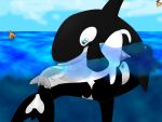 4:3 blue_eyes bodily_fluids cetacean cum cunnilingus delphinoid dragon fellatio genital_fluids group group_sex hi_res mammal marine oceanic_dolphin oral orca penile pussy sex surfing_charizard toothed_whale unbirthing vaginal vore 