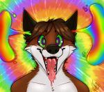  anthro bodily_fluids canid canine colorful drooling drugs fox male mammal mosstheopossum rainbow rainbow_background rechner saliva simple_background solo tongue tongue_out 