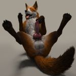  1:1 2016 animal_genitalia animal_penis anus balls black_body black_fur black_nose black_pawpads canid canine canine_penis erection fangs feral fluffy fluffy_tail fox fur hi_res knot legs_raised looking_at_viewer lying male mammal on_back orange_body orange_fur pawpads penis presenting red_fox solo teeth virtyalfobo whiskers white_body white_fur 