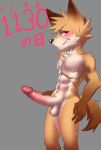  abs anthro balls band-aid bandage big_penis blush bodily_fluids canid canine erection fox hi_res male mammal manadezimon muscular muscular_male pecs penis solo sweat 