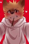  &lt;3 anthro band-aid bandage blush canid canine clothing food fox hi_res hoodie male mammal manadezimon pocky seductive solo teenager topwear young 