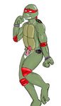  raphael tagme teenage_mutant_hero_turtles 