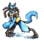  absurd_res anthro black_body black_fur black_nose blue_body blue_fur chest_tuft claws fangs fluffy fluffy_tail fur head_tuft hi_res kenket lucario nintendo notched_ear pok&eacute;mon pok&eacute;mon_(species) pose red_eyes simple_background smile solo toe_claws tuft video_games white_background yellow_body yellow_fur 